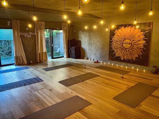 Divine Flow Yoga Center