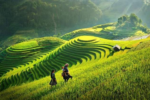 Top 20 cửa hàng đồ phượt Thị xã Bỉm Sơn Thanh Hóa 2022