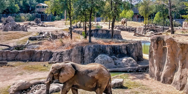 Dallas Zoo