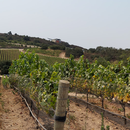 Presquile Winery image