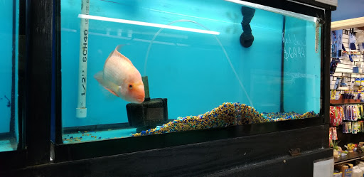 Tropical Fish Store «Caribbean Pets», reviews and photos, 298 Central Ave, Jersey City, NJ 07307, USA