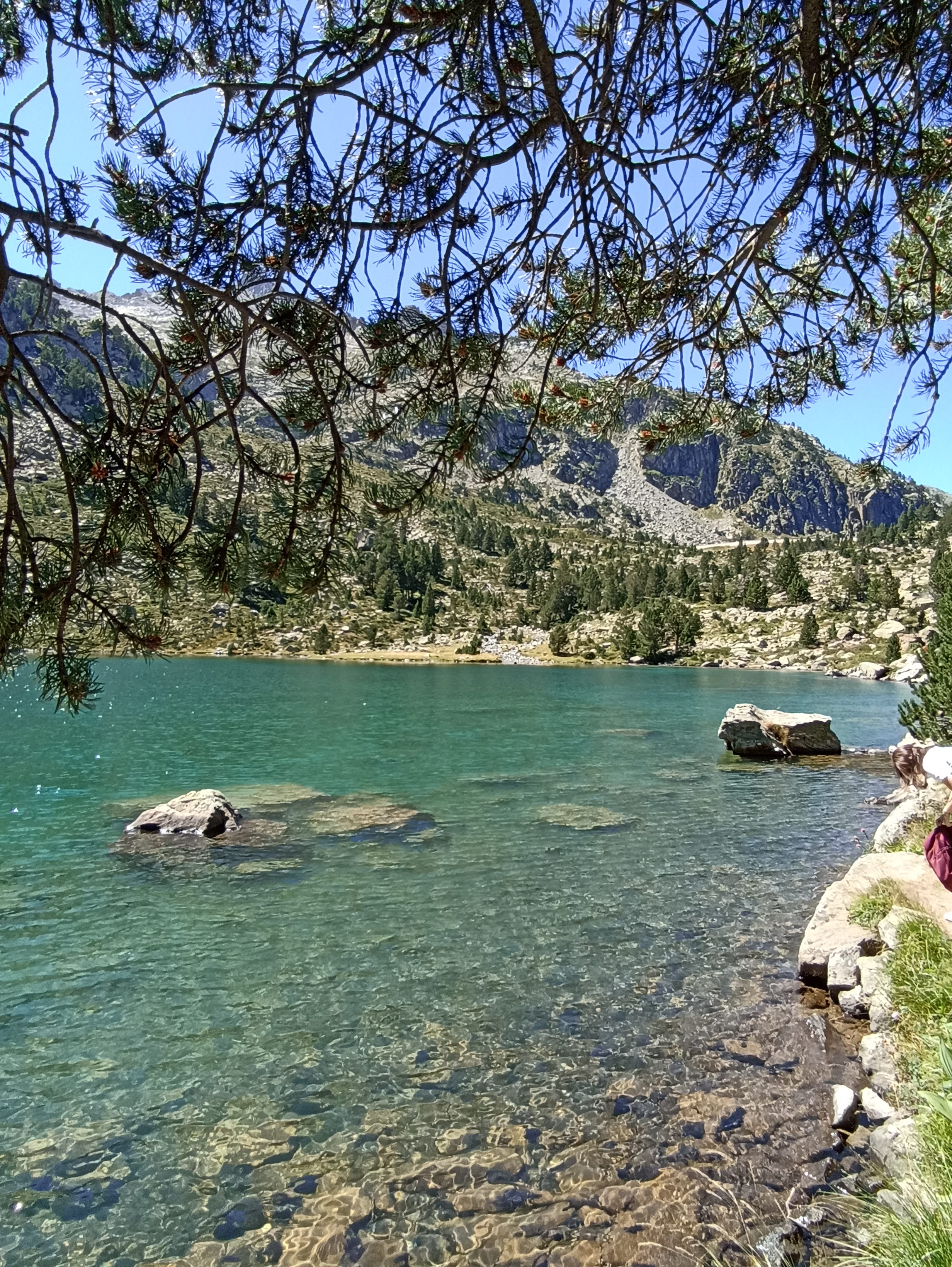 Photo n° 10 de l'avis de FIS.� fait le 15/08/2023 à 14:11