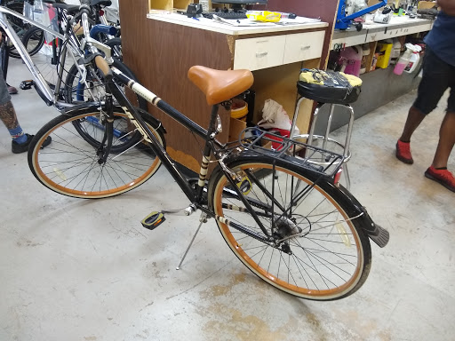 Bicycle Store «LakeShore Bicycles», reviews and photos, 2108 Blanding Blvd, Jacksonville, FL 32210, USA