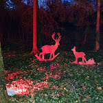 Photo n°9 de l'avis de Globe.r fait le 07/12/2019 à 15:22 sur le  Hotel Dammenmühle GmbH à Lahr