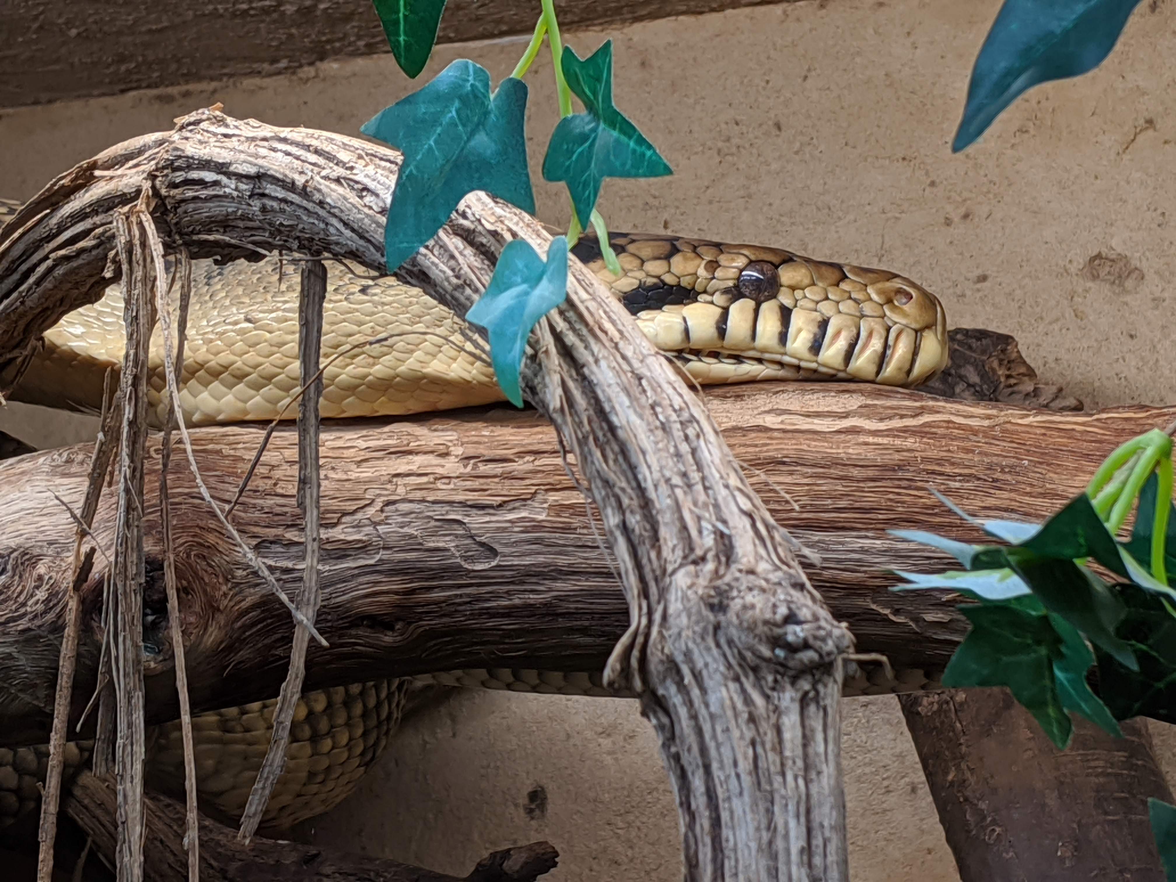 Photo n° 8 de l'avis de Gabin.u fait le 09/12/2013 à 19:36