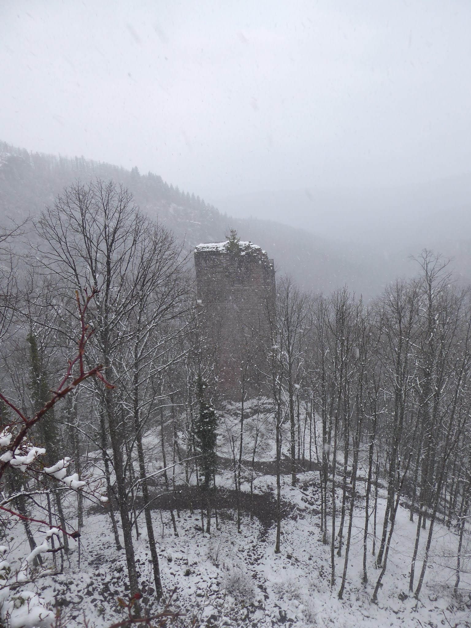 Photo n° 2 de l'avis de Georges.e fait le 31/03/2021 à 21:44