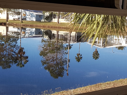 Garden «Bok Tower Gardens», reviews and photos, 1151 Tower Blvd, Lake Wales, FL 33853, USA