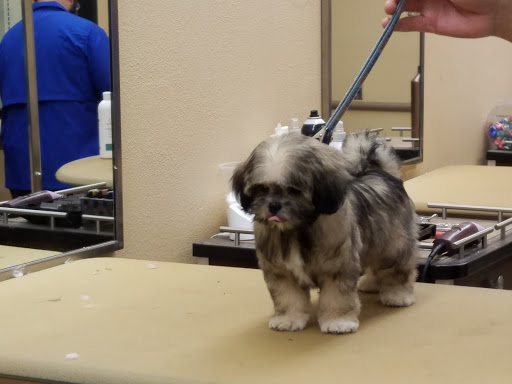 Pet Supply Store «PetSmart», reviews and photos, 15042 Summit Ave, Fontana, CA 92336, USA