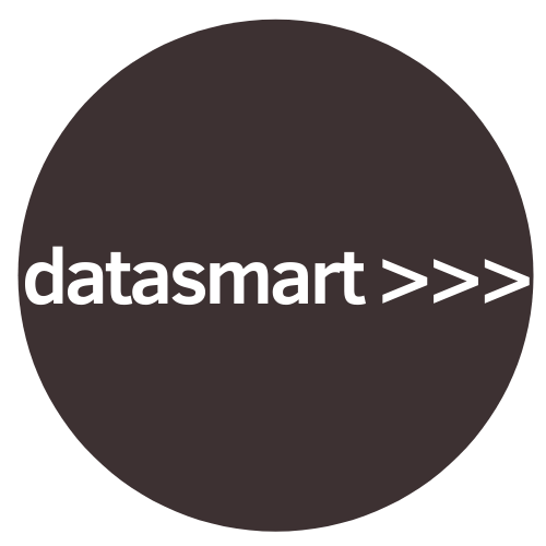 Logo da empresa - datasmart