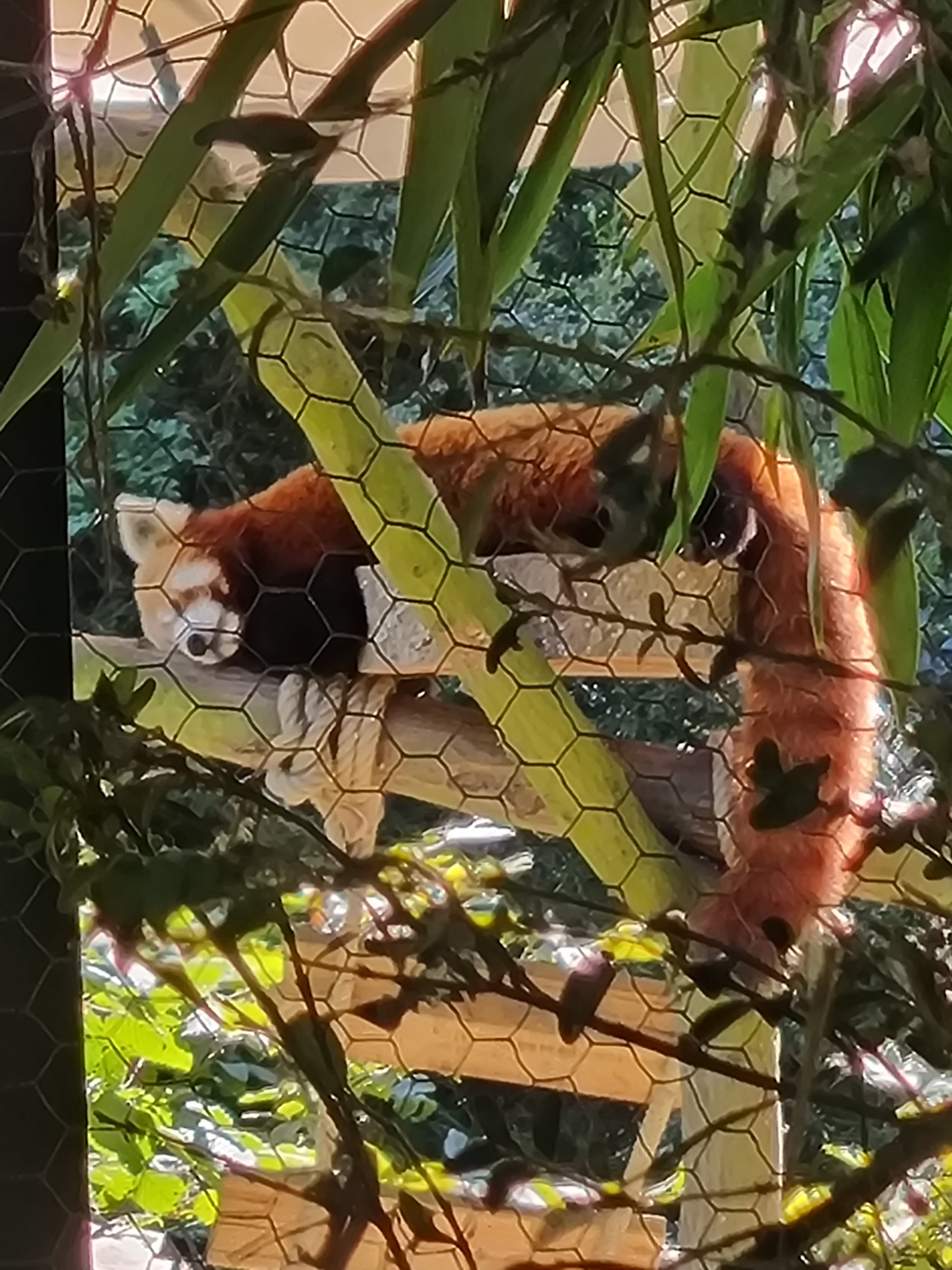 Photo n° 1 de l'avis de Thomas.o fait le 07/09/2023 à 18:11