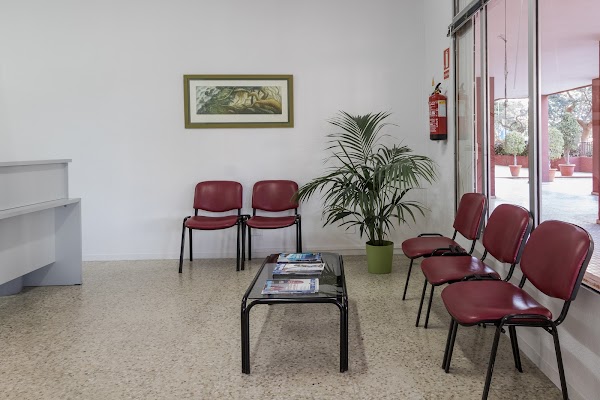 Reconocimiento de Conductores Gomermedi Olímpico Santa Cruz
