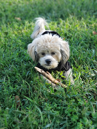 Pet Supply Store «Petco Animal Supplies», reviews and photos, 61-23 190th St, Fresh Meadows, NY 11365, USA