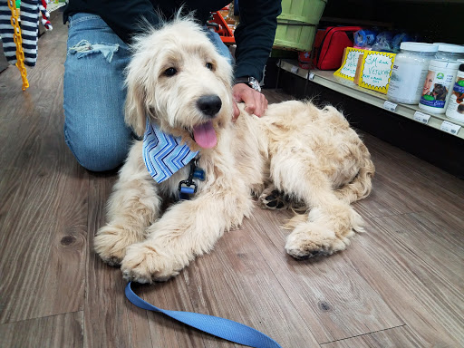 Pet Supply Store «At Your Services Pet Supplies», reviews and photos, 55 S Valle Verde Dr #300, Henderson, NV 89012, USA