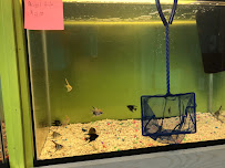 Charmin's Pet Store LLC - Photo 8 - Car repair in Thomasville, NC, High Point