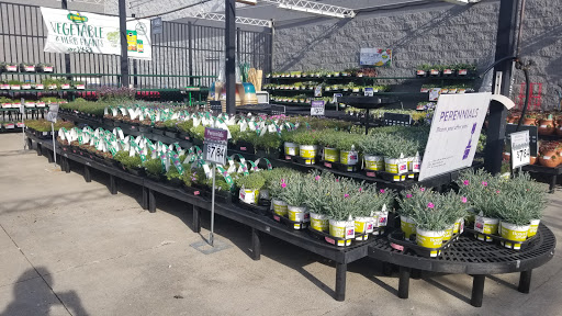 Department Store «Walmart Supercenter», reviews and photos, 1618 W McClain Ave, Scottsburg, IN 47170, USA