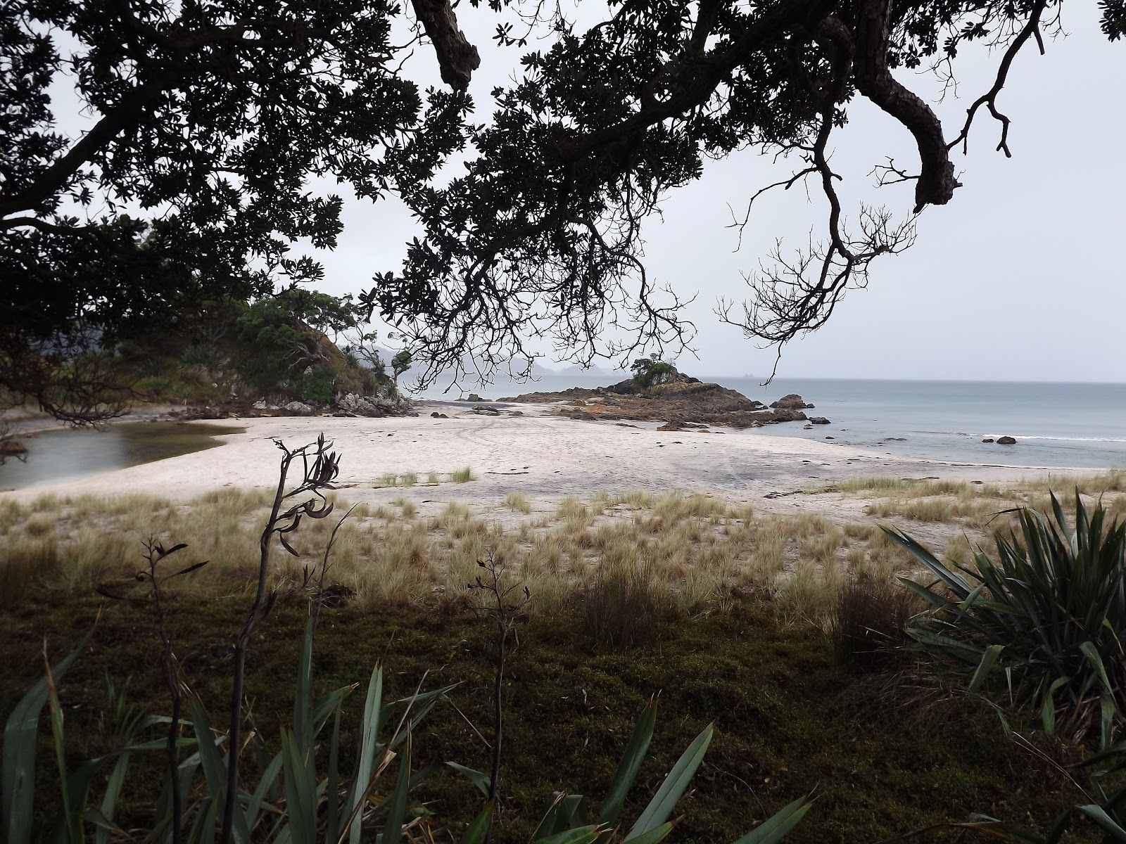 WhauWhau Beach'in fotoğrafı düz ve uzun ile birlikte