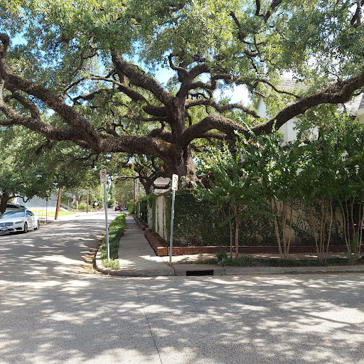 Art Museum «Contemporary Arts Museum Houston», reviews and photos, 5216 Montrose Blvd, Houston, TX 77006, USA