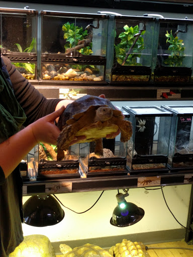 Pet Store «Critter Cabana», reviews and photos, 516 E 1st St, Newberg, OR 97132, USA