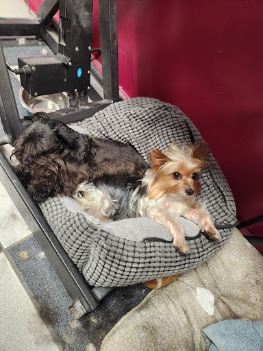 Scissors-N-Suds Grooming And Boarding