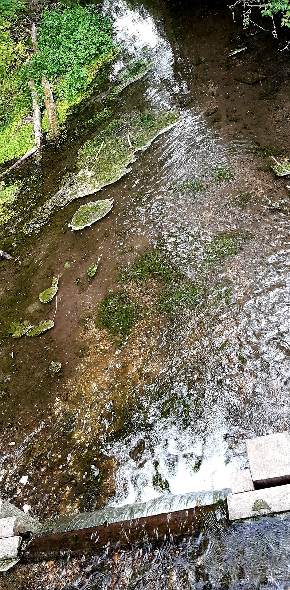 Photo n° 19 de l'avis de Lore.e fait le 24/05/2020 à 16:12