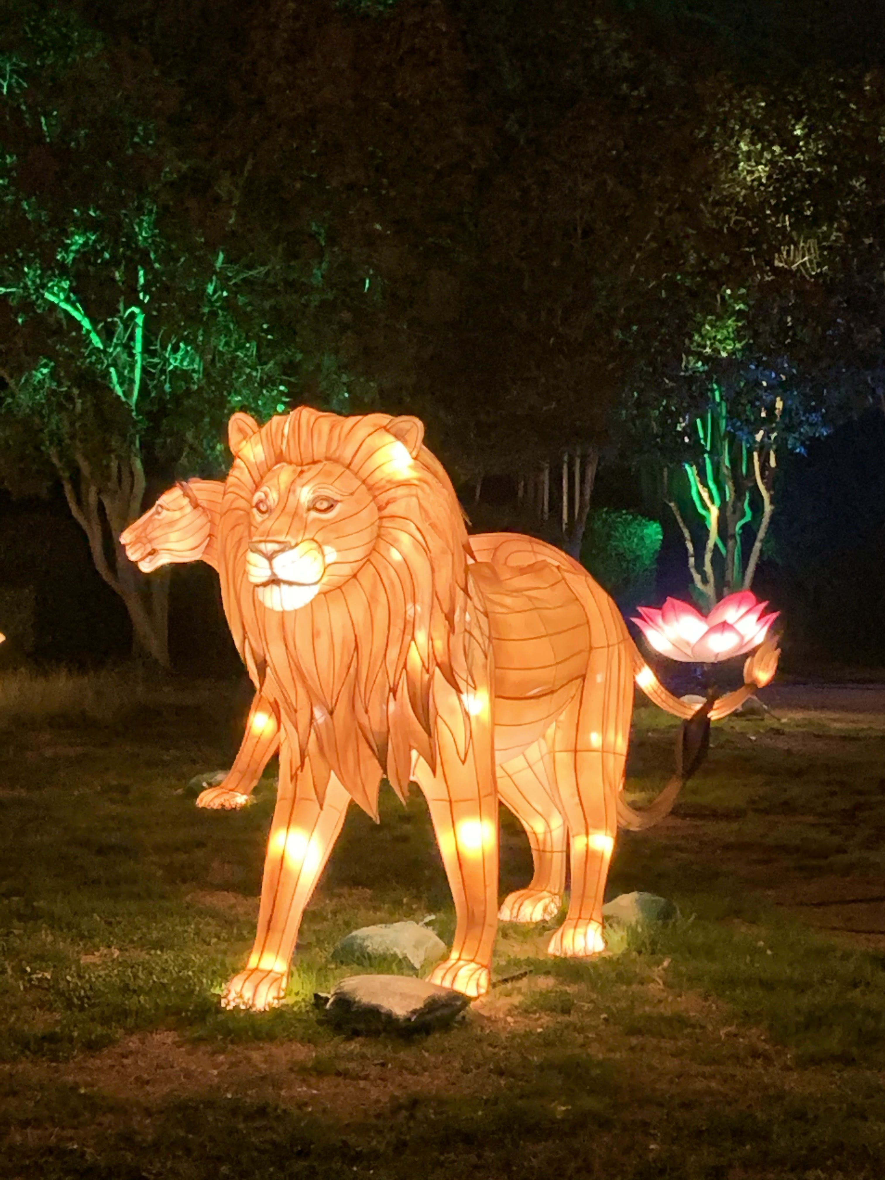 Photo n° 10 de l'avis de C.t fait le 08/01/2020 à 10:58