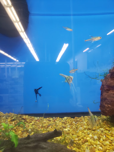 Pet Supply Store «Petco Animal Supplies», reviews and photos, 1310 Tingle Cir E b, Mobile, AL 36606, USA