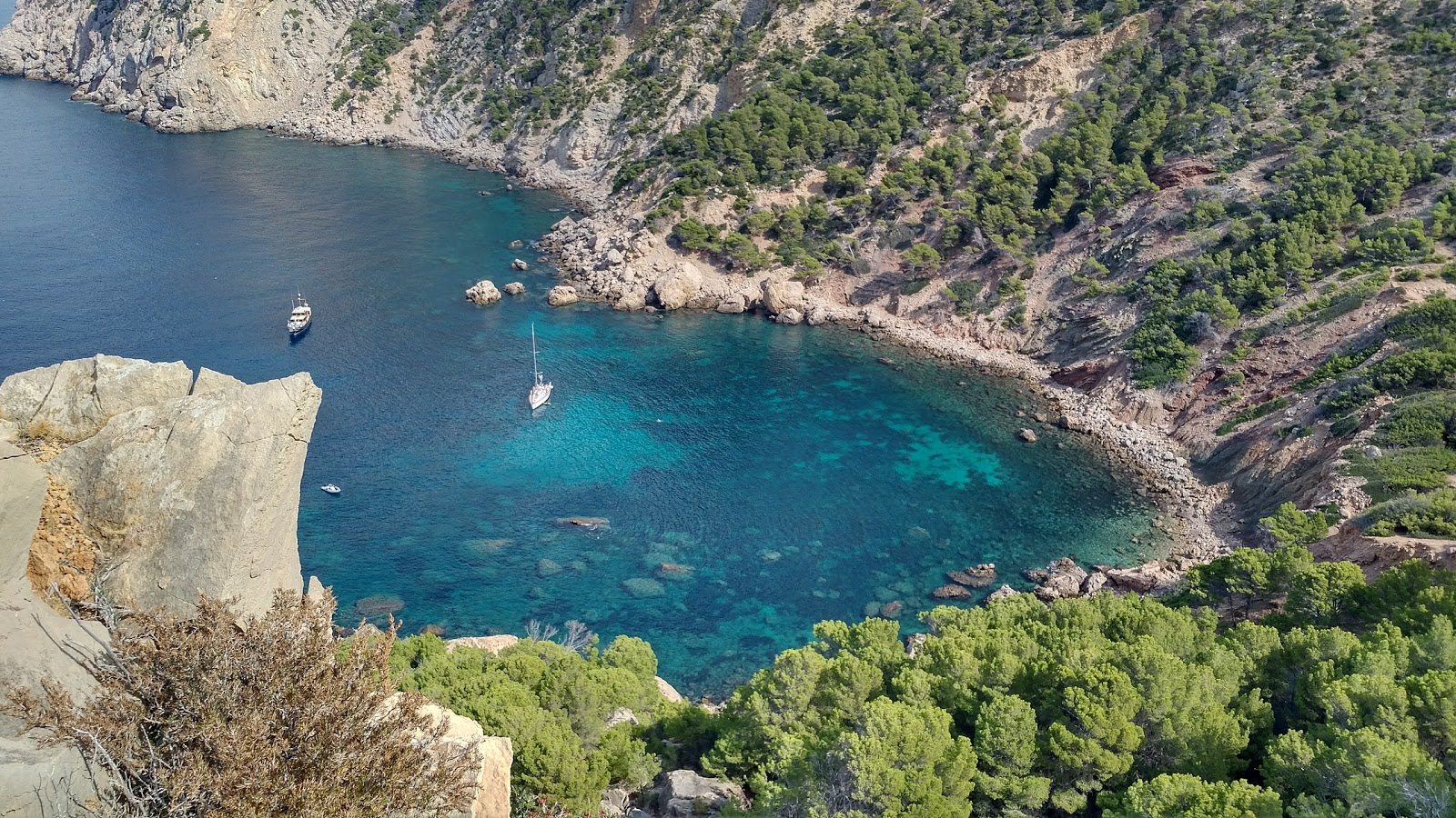 Foto af Cala en Basset med sten overflade