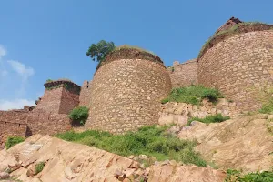 Bayana fort ( Vijay Gadh) image