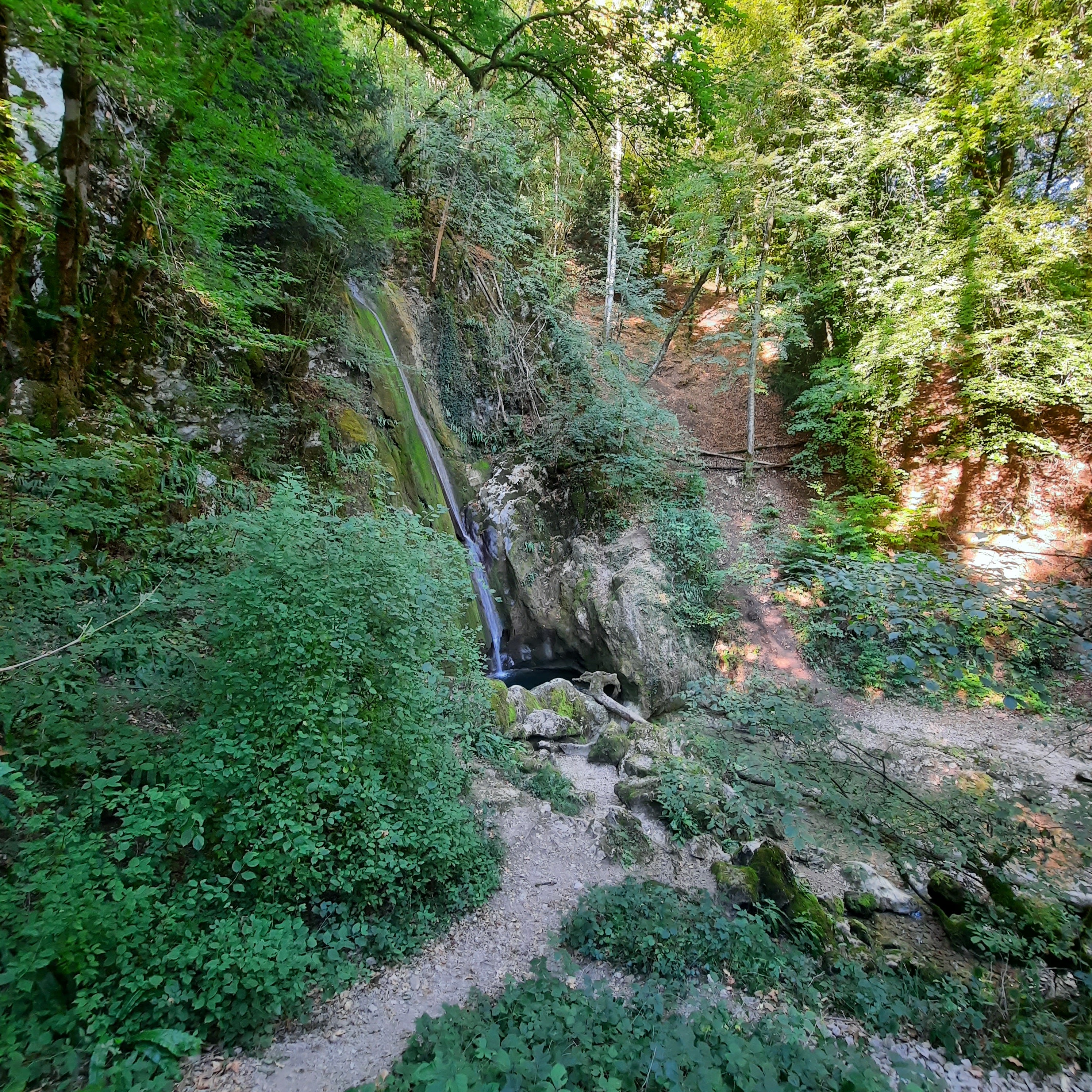 Photo n° 2 de l'avis de Hanus.e fait le 25/07/2022 à 08:30