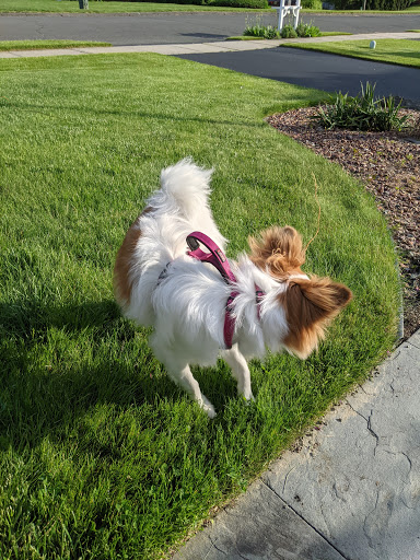 Pet Store «All Pets Club», reviews and photos, 1167 N Colony Rd, Wallingford, CT 06492, USA