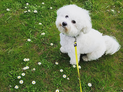 Park «Orchard Park», reviews and photos, 20900 NW Amberwood Dr, Hillsboro, OR 97124, USA