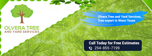 Olvera Tree and Yard Services