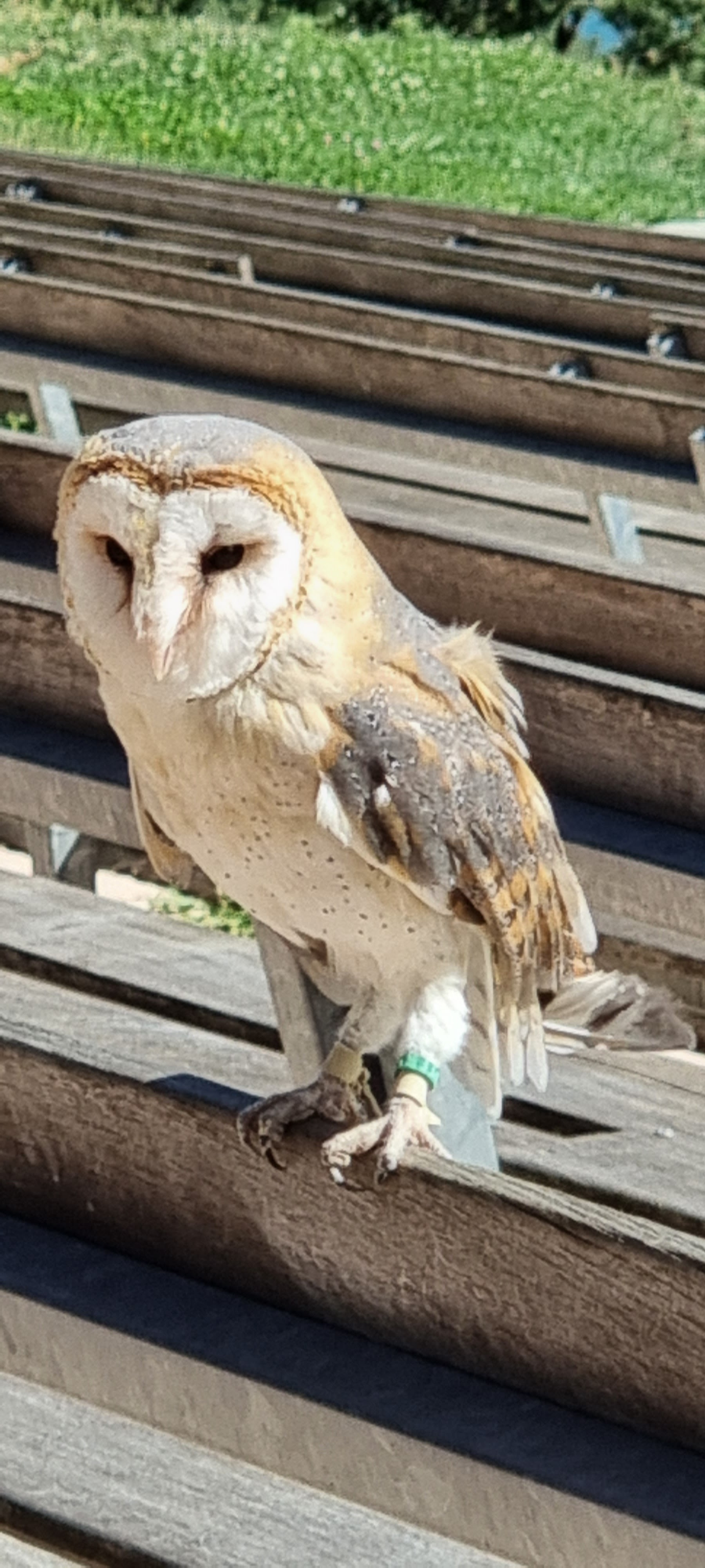 Photo n° 3 de l'avis de Didier.E fait le 03/09/2022 à 06:54