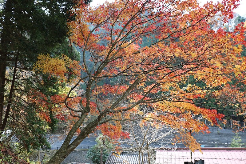 藤原神社