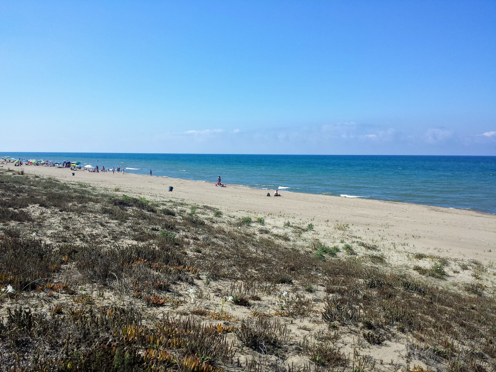 Photo de Spiaggia delle Sterlizie avec rivage droit, long