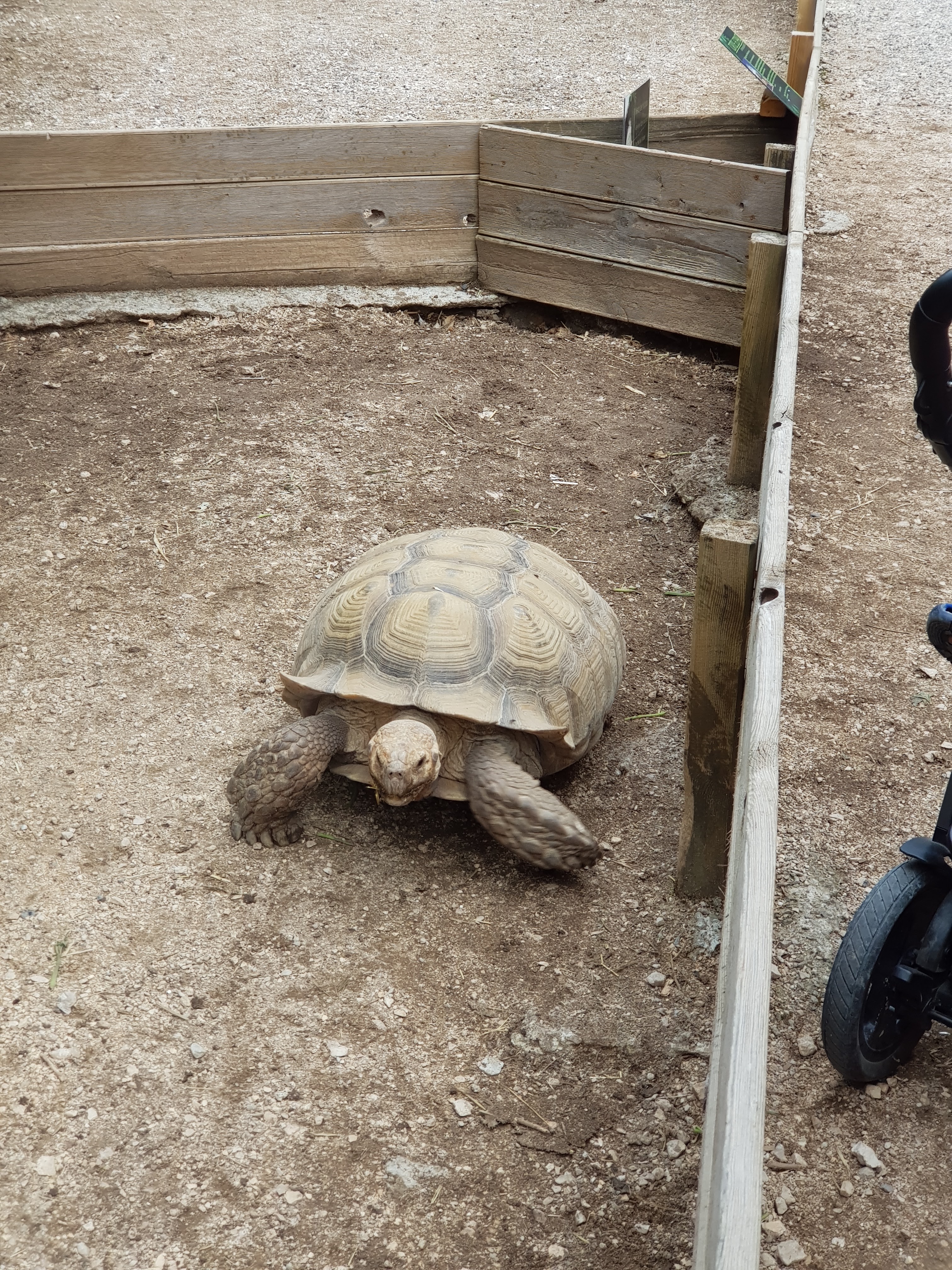 Photo n° 4 de l'avis de Jessica.a fait le 29/07/2021 à 18:12