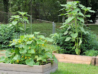 The Cliff Jordan Continuing Education Center at Tillman House - Photo 5 - Car repair in Smyrna, GA, Atlanta