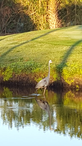 Golf Course «The Tides Golf Club», reviews and photos, 11832 66th Ave N, Seminole, FL 33772, USA