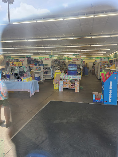 Dollar Store «Dollar Tree», reviews and photos, 15151 Woodward Ave, Highland Park, MI 48203, USA