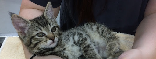 17424 WA-9 A, Snohomish, WA 98296, USA