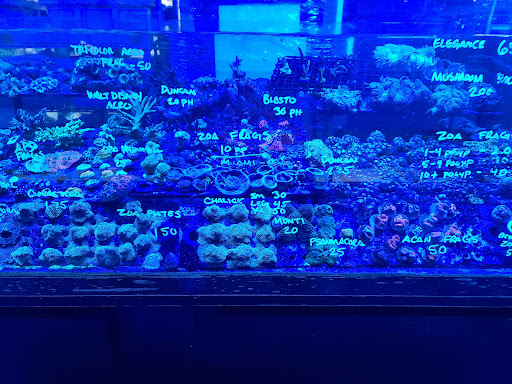 Pet Supply Store «Professional Fish Keepers Aquarium Store», reviews and photos, 7573 W Sample Rd, Coral Springs, FL 33065, USA