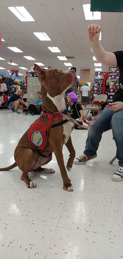 Pet Supply Store «Petco Animal Supplies», reviews and photos, 1951 N Military Trl c, West Palm Beach, FL 33409, USA