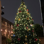 Photo n°1 de l'avis de Anna.s fait le 15/03/2022 à 20:10 sur le  MargheRita Osteria Pizzeria (EUR Torrino) à Rome