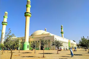 Central Mosque image