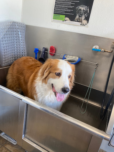 Pet Store «Pet Planet», reviews and photos, 5150 S Rural Rd #106, Tempe, AZ 85282, USA