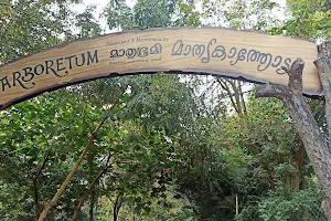Mathrubhumi Arboretum image
