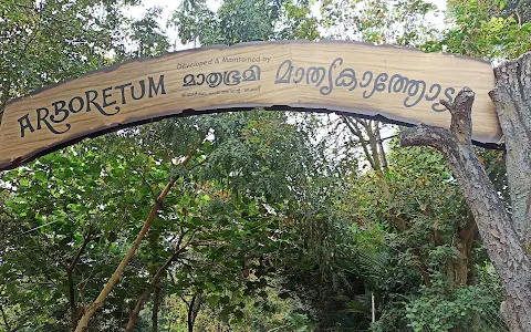 Mathrubhumi Arboretum image