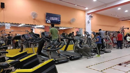 Delhi fitness gym - Building no 33, near Metro Pillar Number 164, Old Ranjeet Nagar, Block 5, South Patel Nagar, New Delhi, Delhi 110008, India