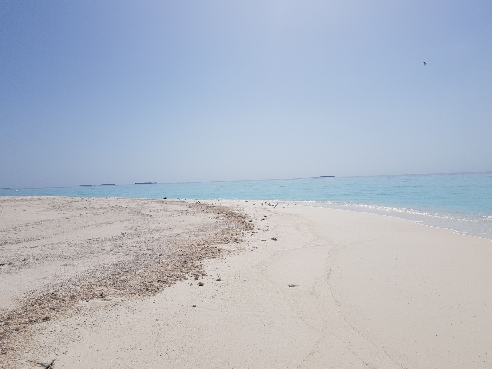Saraka Fushi Beach的照片 带有白沙表面