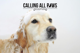 Calling all paws grooming Nottingham